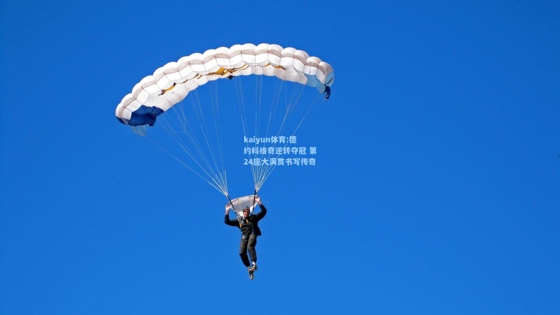 德约科维奇逆转夺冠 第24座大满贯书写传奇